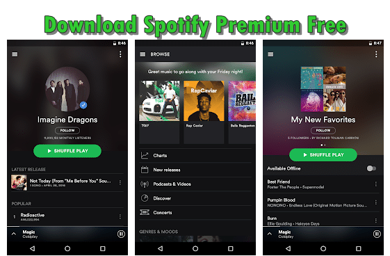 Spotify premium with downloader